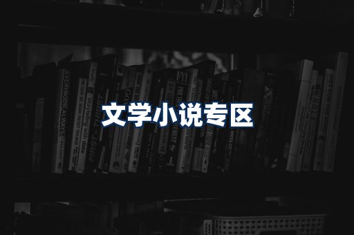 文学小说PDF展示